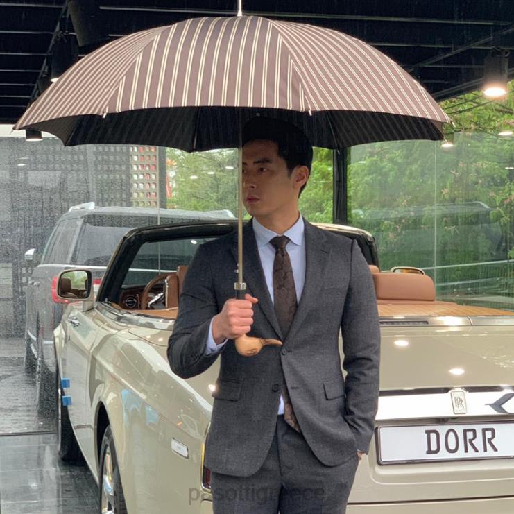 ομπρέλα | PASOTTI 478 51880-3 n58 - σκαλιστή στο χέρι ομπρέλα πάπιας 2N6B8107 άνδρες